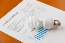 A fluorescent light bulb sits on top of a monthly bill from an electric company.